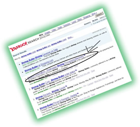 Search Engine Optimization Example 2