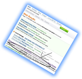 Search Engine Optimization Example 3