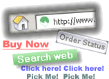 Website Design and Development graphic